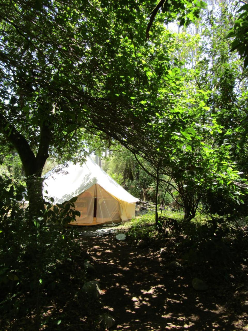Greenstone Retreat Kumara Zewnętrze zdjęcie